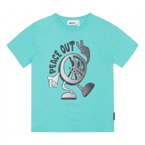 Pacific Boys' Molo Riley T Shirts Tops | KSA000830