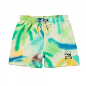 Palmtree Spray Molo Niko Swimshorts | KSA001110