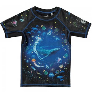 Plankton Molo Neptune Rash guards | KSA001095