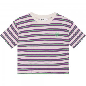 Purple Green Stripe Girls' Molo Reinette T Shirts Tops | KSA000531