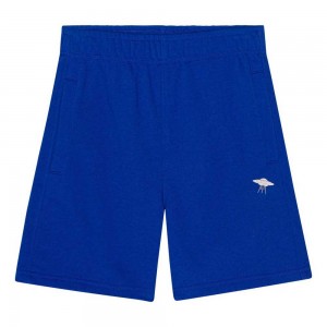 Reef Blue Boys' Molo Adian Shorts | KSA000728