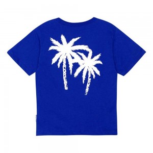 Reef Blue Boys' Molo Riley T Shirts Tops | KSA000770