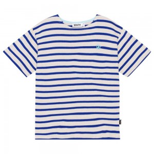 Reef Stripe Boys' Molo Rilee T Shirts Tops | KSA000797