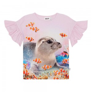 Seal Reef Girls' Molo Rayah T Shirts Tops | KSA000498