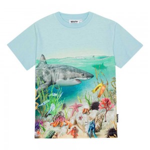 Shore Life Boys' Molo Roxo T Shirts Tops | KSA000789