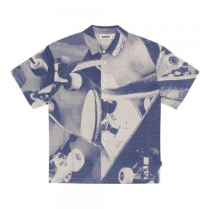 Skate Universe Boys' Molo Richie Shirts | KSA000684