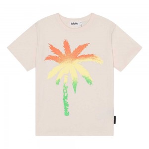 Spray Palm Boys' Molo Riley T Shirts Tops | KSA000769