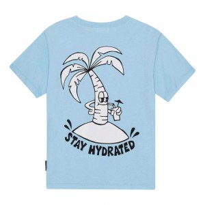 Stay Hydrated Boys' Molo Riley T Shirts Tops | KSA000777