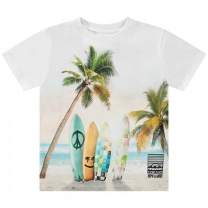 Sunrise Surfer Boys' Molo Rame T Shirts Tops | KSA000629