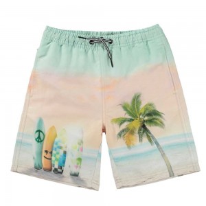 Sunrise Surfer Molo Nilson Swimshorts | KSA001123