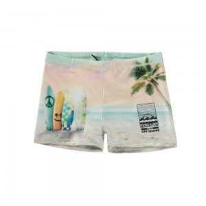 Sunrise Surfer Molo Norton Placed Swimshorts | KSA001119