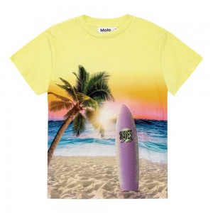 Sunset Surf Boys' Molo Roxo T Shirts Tops | KSA000776