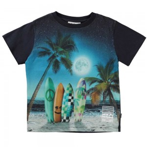 Sunset Surfer Boys' Molo Rame T Shirts Tops | KSA000628