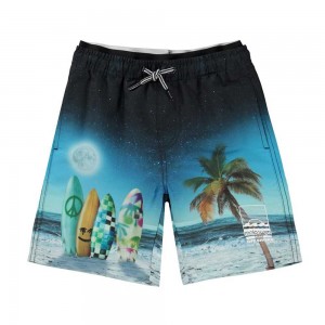 Sunset Surfer Molo Neal Swimshorts | KSA001124