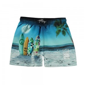 Sunset Surfer Molo Niko Swimshorts | KSA001121