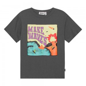 Surf On Fire Boys' Molo Riley T Shirts Tops | KSA000811