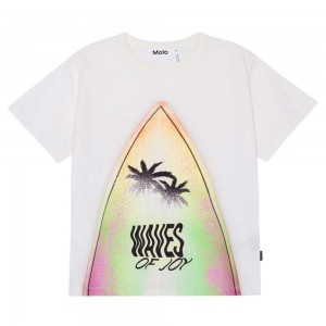 Surfboard Boys' Molo Riley T Shirts Tops | KSA000813