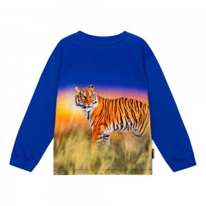 Tiger Reef Boys' Molo Rube T Shirts Tops | KSA000856