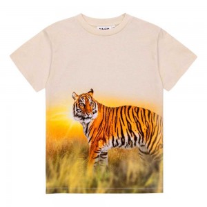 Tiger Sand Boys' Molo Roxo T Shirts Tops | KSA000855