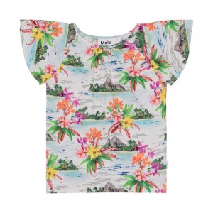 Tropical Islands Girls' Molo Rachel T Shirts Tops | KSA000516