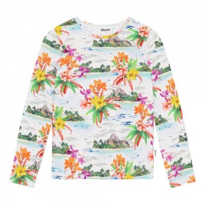 Tropical Islands Girls' Molo Rose T Shirts Tops | KSA000517