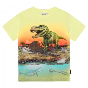 Volcano Dino Boys' Molo Riley T Shirts Tops | KSA000808