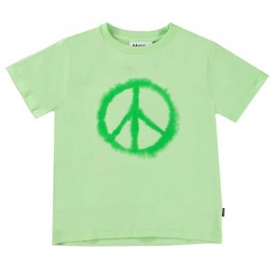 Water Peace Boys' Molo Rame T Shirts Tops | KSA000867