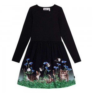 Yin Yang Kitten Girls' Molo Credence Dresses | KSA000275