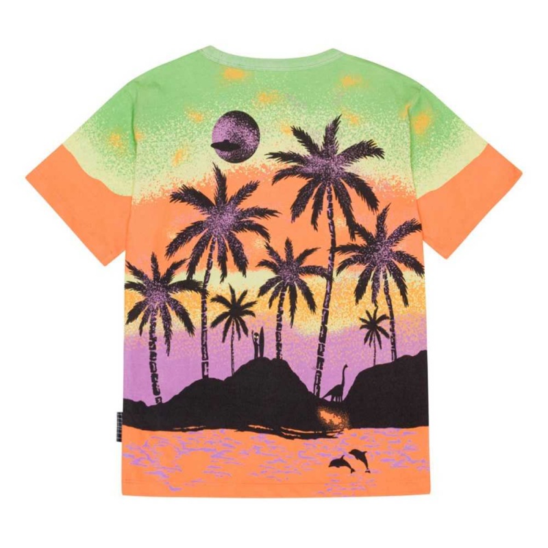 Alien Island Boys' Molo Riley T Shirts Tops | KSA000773