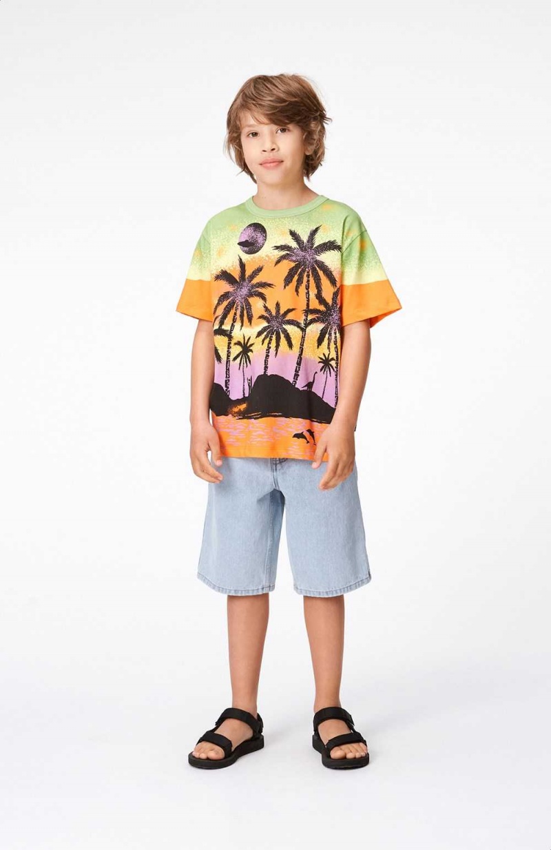 Alien Island Boys' Molo Riley T Shirts Tops | KSA000773