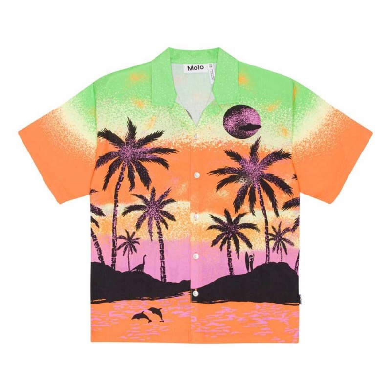 Alien Island Boys\' Molo Rui Shirts | KSA000680