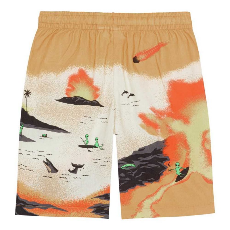 Alien Tourists Boys' Molo Adi Shorts | KSA000711