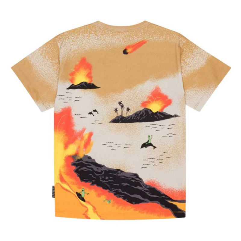 Alien Tourists Boys' Molo Riley T Shirts Tops | KSA000806