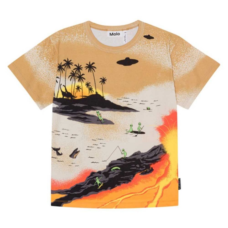 Alien Tourists Boys\' Molo Riley T Shirts Tops | KSA000806