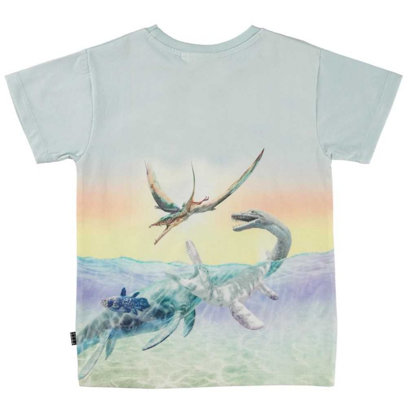 Ancient Island Boys' Molo Raul T Shirts Tops | KSA000630