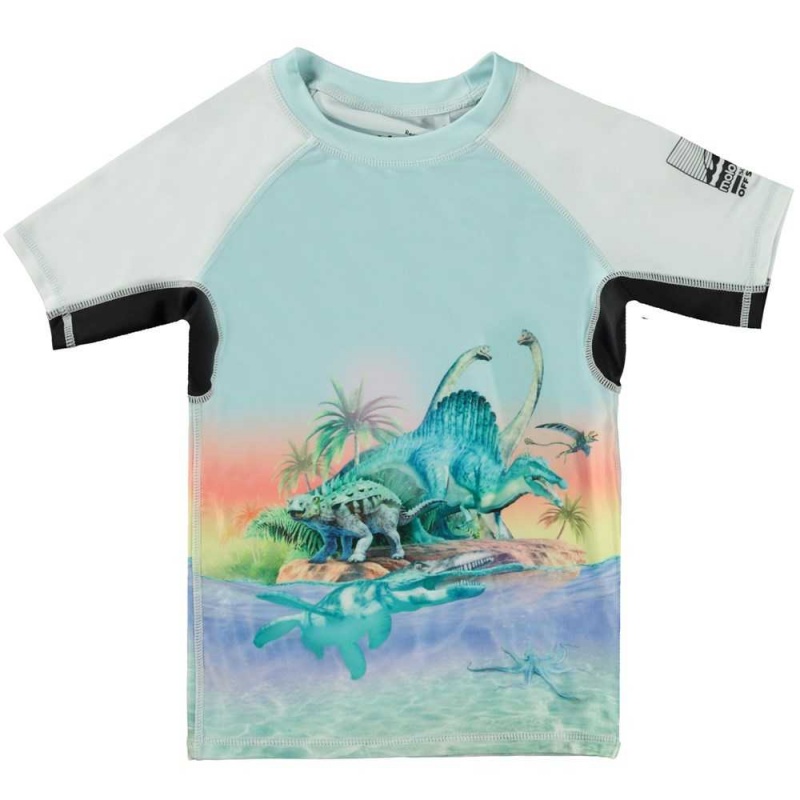 Ancient Island Molo Neptune Rash guards | KSA001085