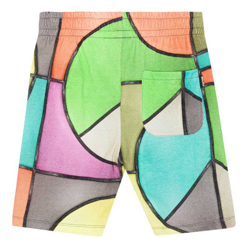 Basket Colour Boys' Molo Alim Shorts | KSA000694