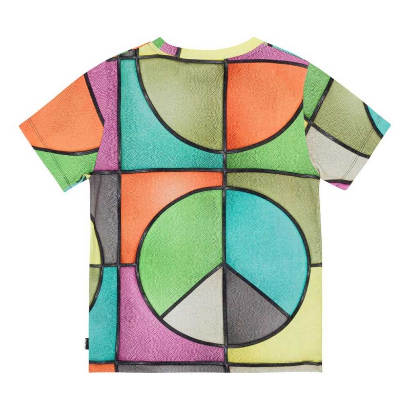 Basket Colour Boys' Molo Ralphie T Shirts Tops | KSA000779