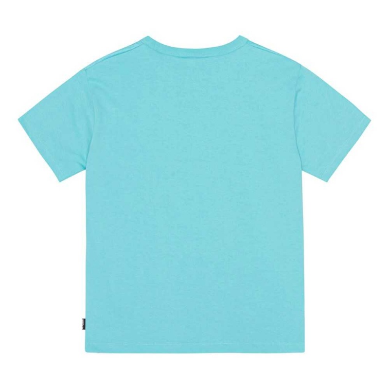 Beaming Dinos Boys' Molo Riley T Shirts Tops | KSA000829