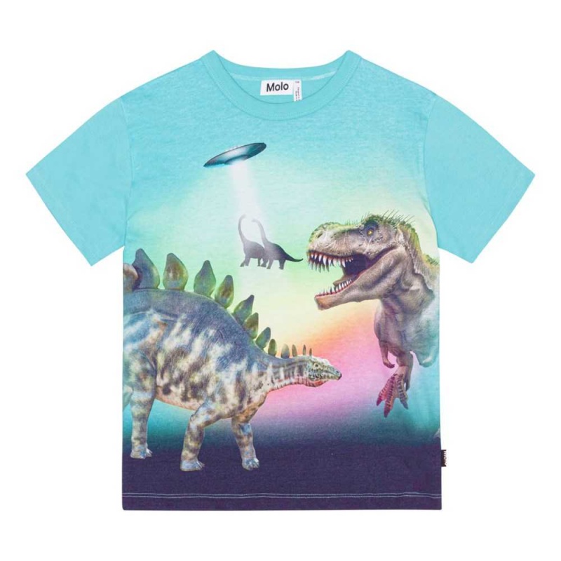 Beaming Dinos Boys\' Molo Riley T Shirts Tops | KSA000829