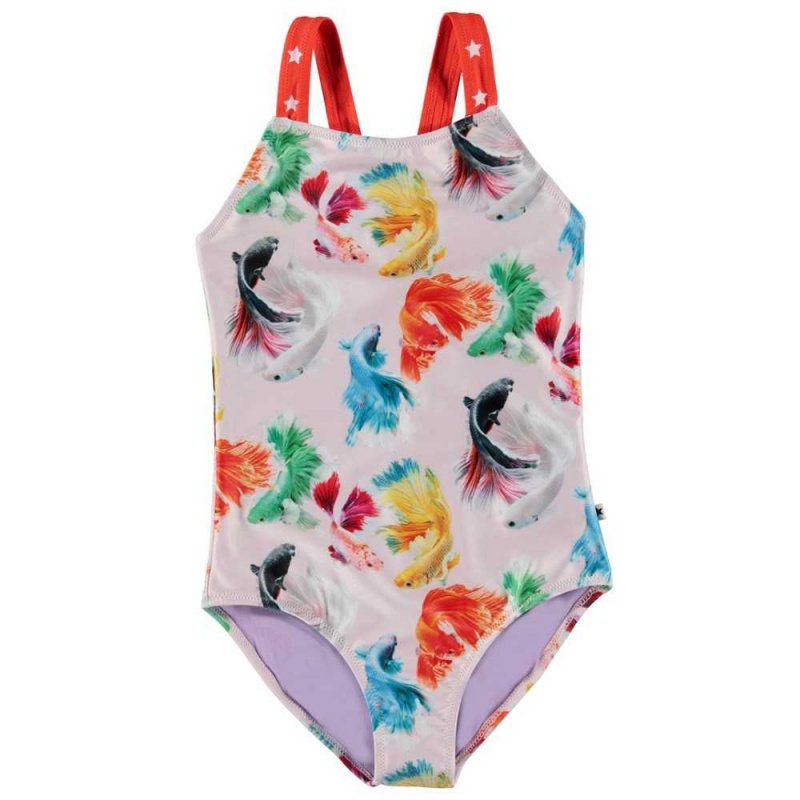 Betta Flowers Molo Nakia Swimsuits | KSA001197