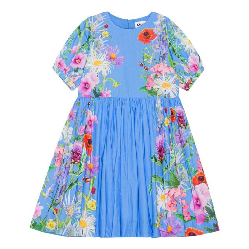 Blue Garden Girls\' Molo Casey Dresses | KSA000245