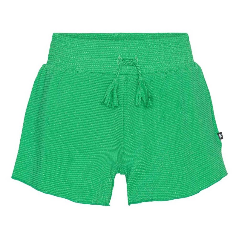 Bright Green Molo Nicci Swimshorts | KSA001108