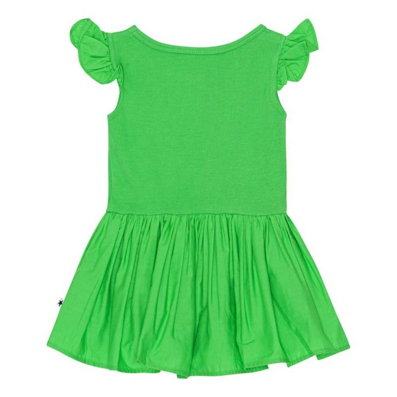 Classic Green Baby Girl Molo Cimi Dresses | KSA001302