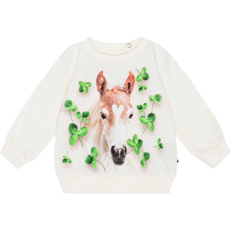 Clover Foal Baby Girl Molo Disc Sweatshirts Cardigans | KSA001406