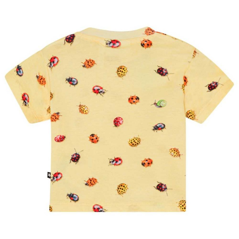 Coccinella Baby Boy Molo Enzo T Shirts Tops | KSA001411