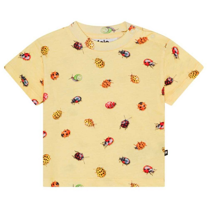 Coccinella Baby Boy Molo Enzo T Shirts Tops | KSA001411