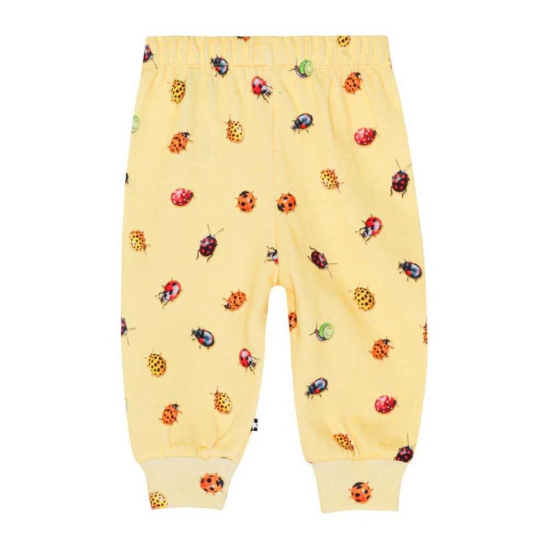 Coccinella Baby Boy Molo Simeon Pants Jeans | KSA001335