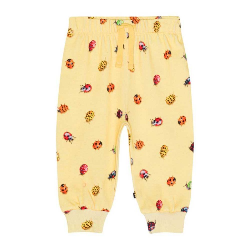 Coccinella Baby Boy Molo Simeon Pants Jeans | KSA001335