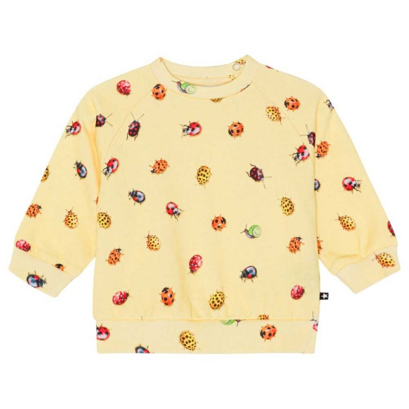 Coccinella Baby Girl Molo Disc Sweatshirts Cardigans | KSA001402